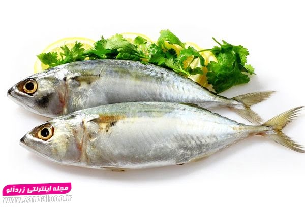 فروش ماهی طلال تازه صید روز ارسال از بندرعباس
