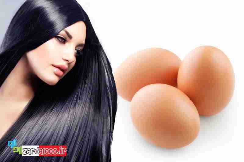 تقویت رشد مو با استفاده از تخم مرغ